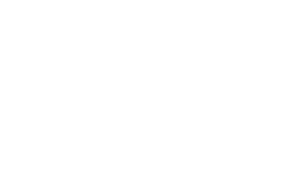 Forza Roof Logo white